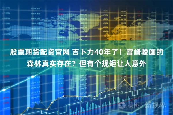 股票期货配资官网 吉卜力40年了！宫崎骏画的森林真实存在？但有个规矩让人意外