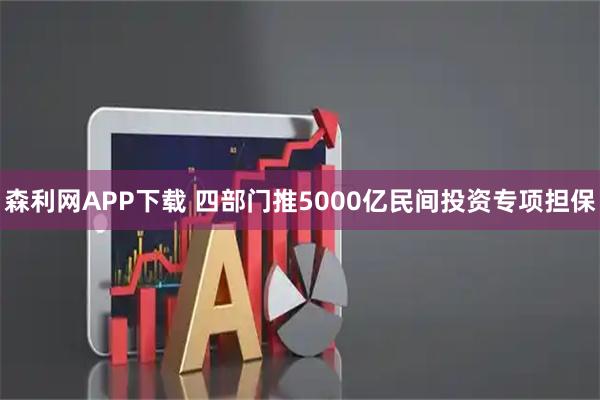 森利网APP下载 四部门推5000亿民间投资专项担保